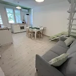 Hello Zsory